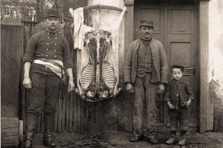 Foto vom Schlachten eines Schweins vor der Haustür um 1910 bei Storks Trömner, Konrad, Stork Johs.+Sohn Wilhelm