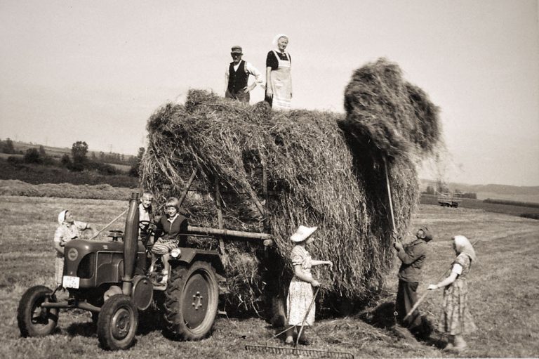Bild aus der Landwirtschaft um 1900, Heuernte 1958